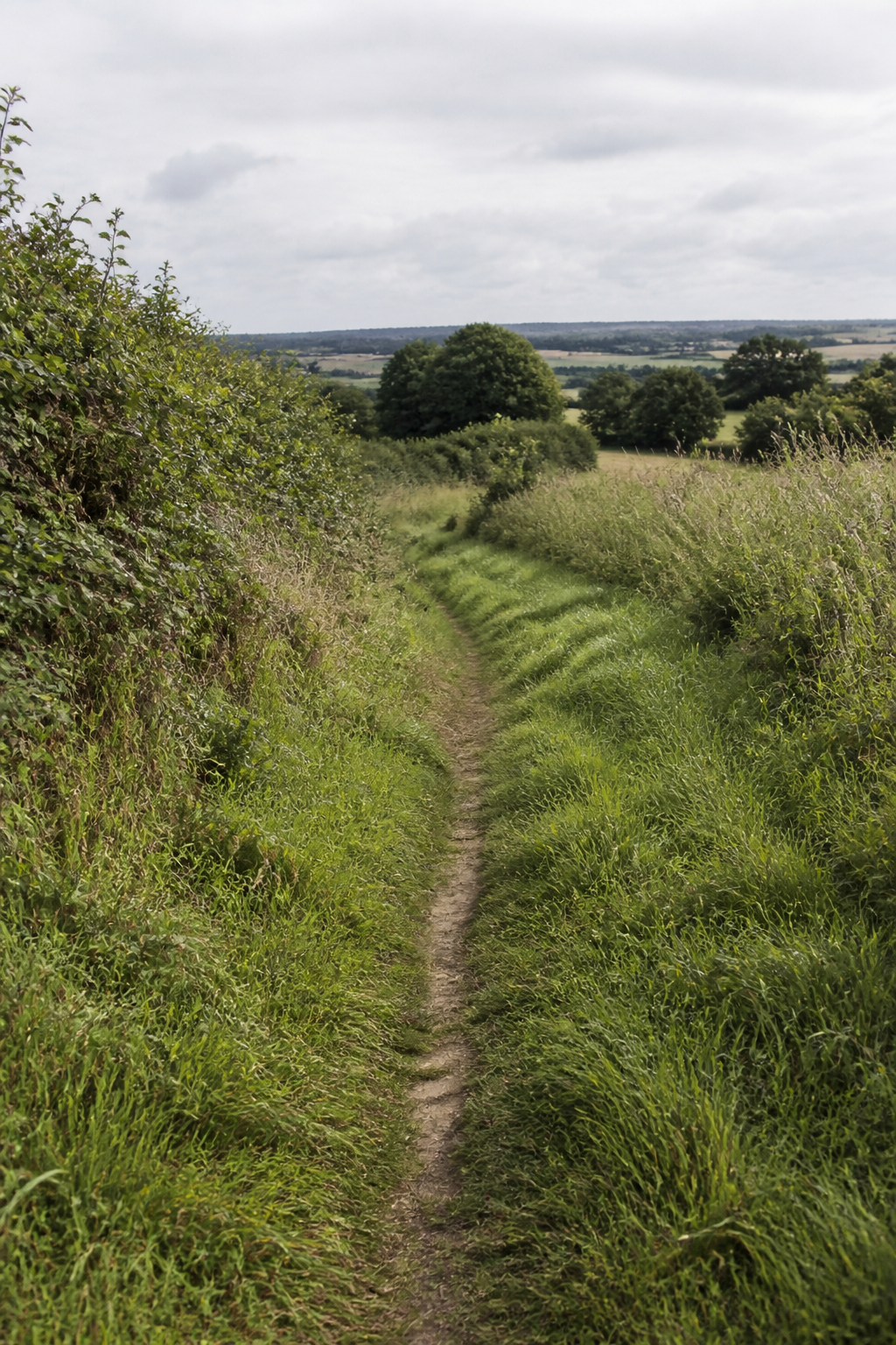A worn countryside walking path through Yorkshire grassland, with no signs