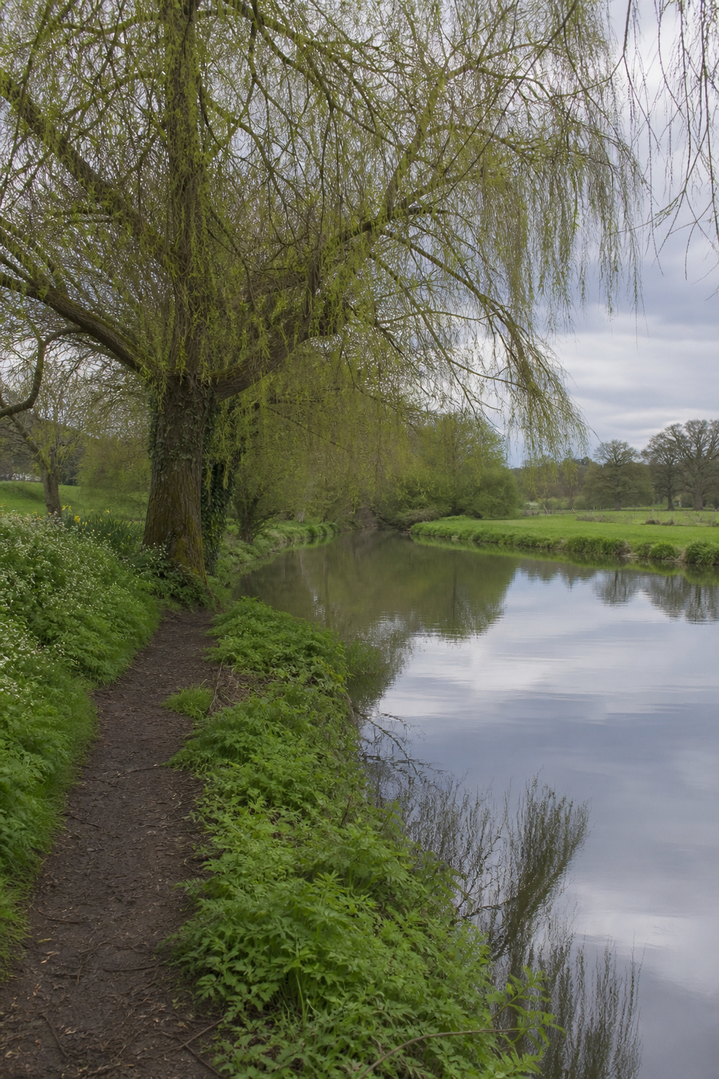 A quiet English riverbank path with willow trees, with no readable signs