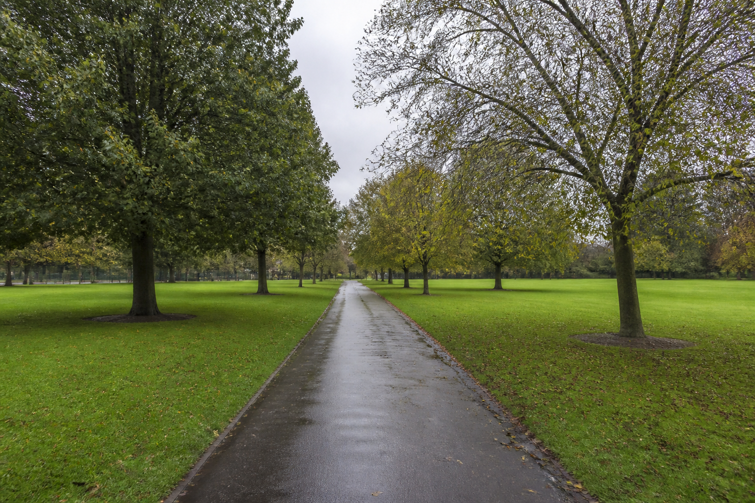 An empty tree-lined park path in overcast English daylight